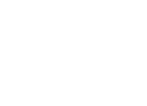 Client Logo 2